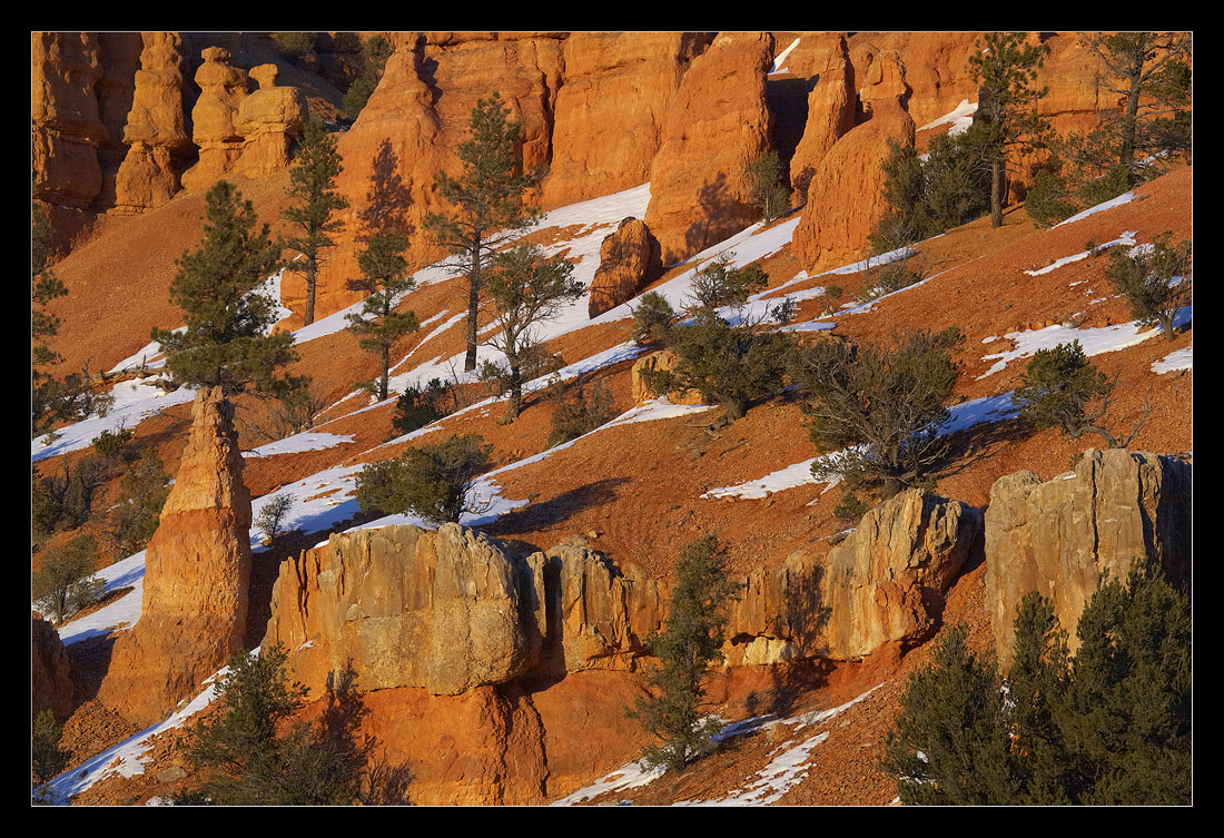 Sunset on Red Canyon Wall