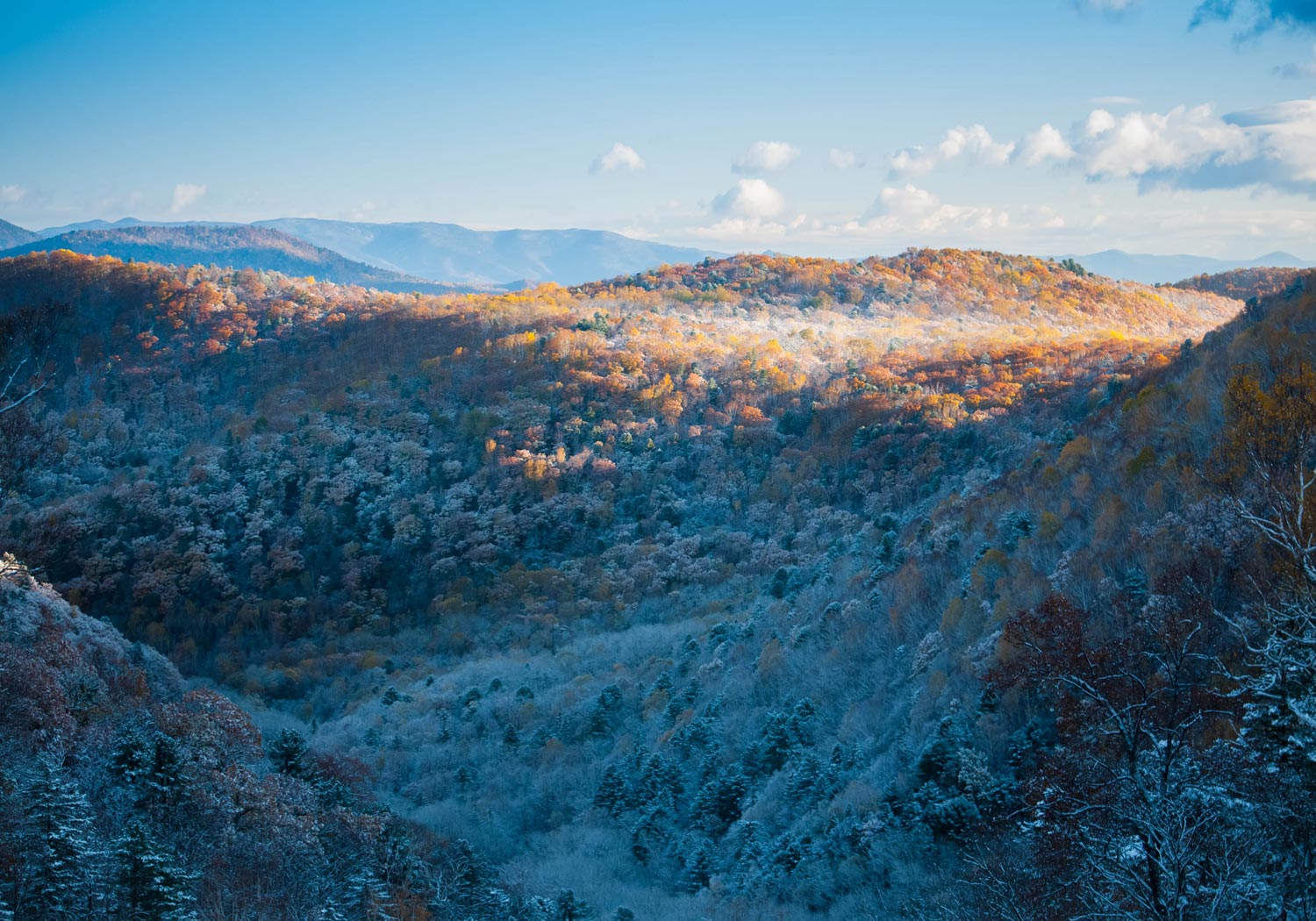 Граница осени