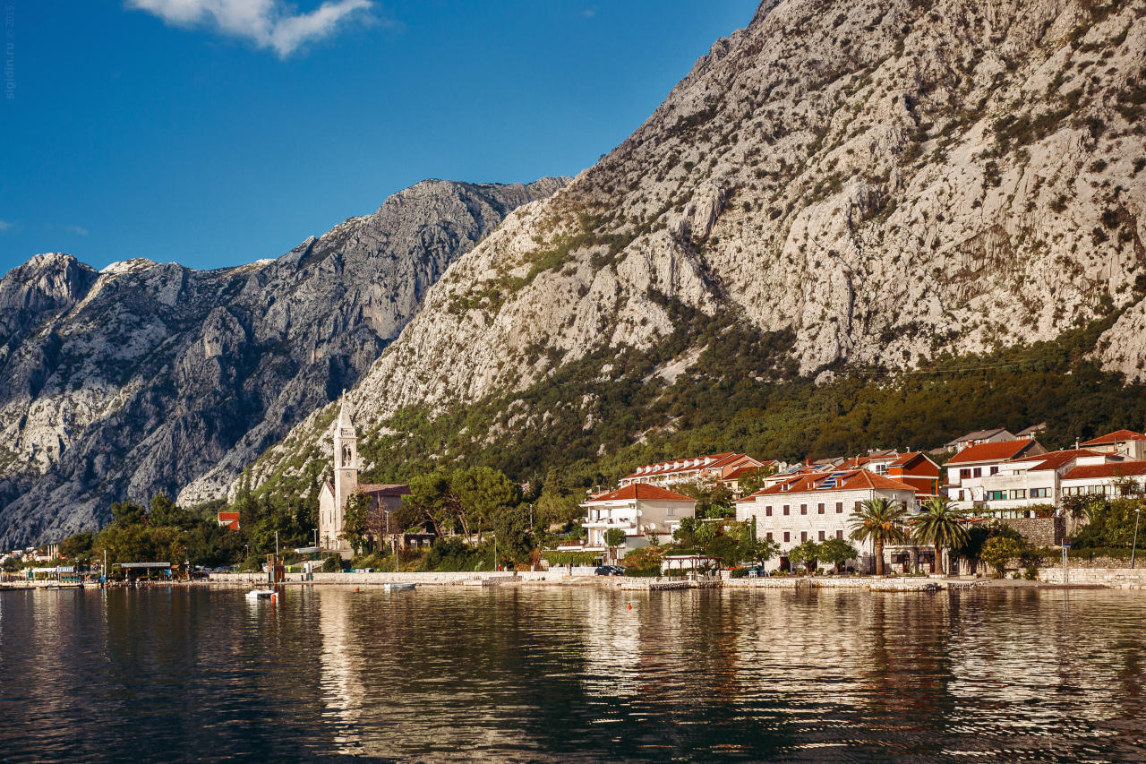 Kotor