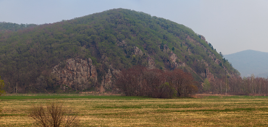 Лапа Тигра