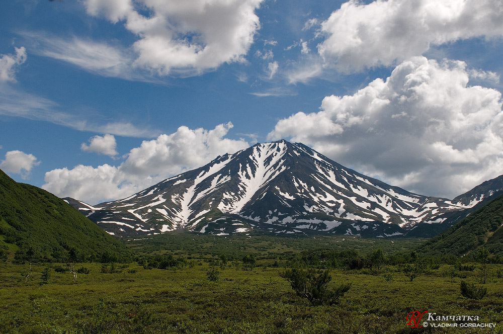 Бакенинг