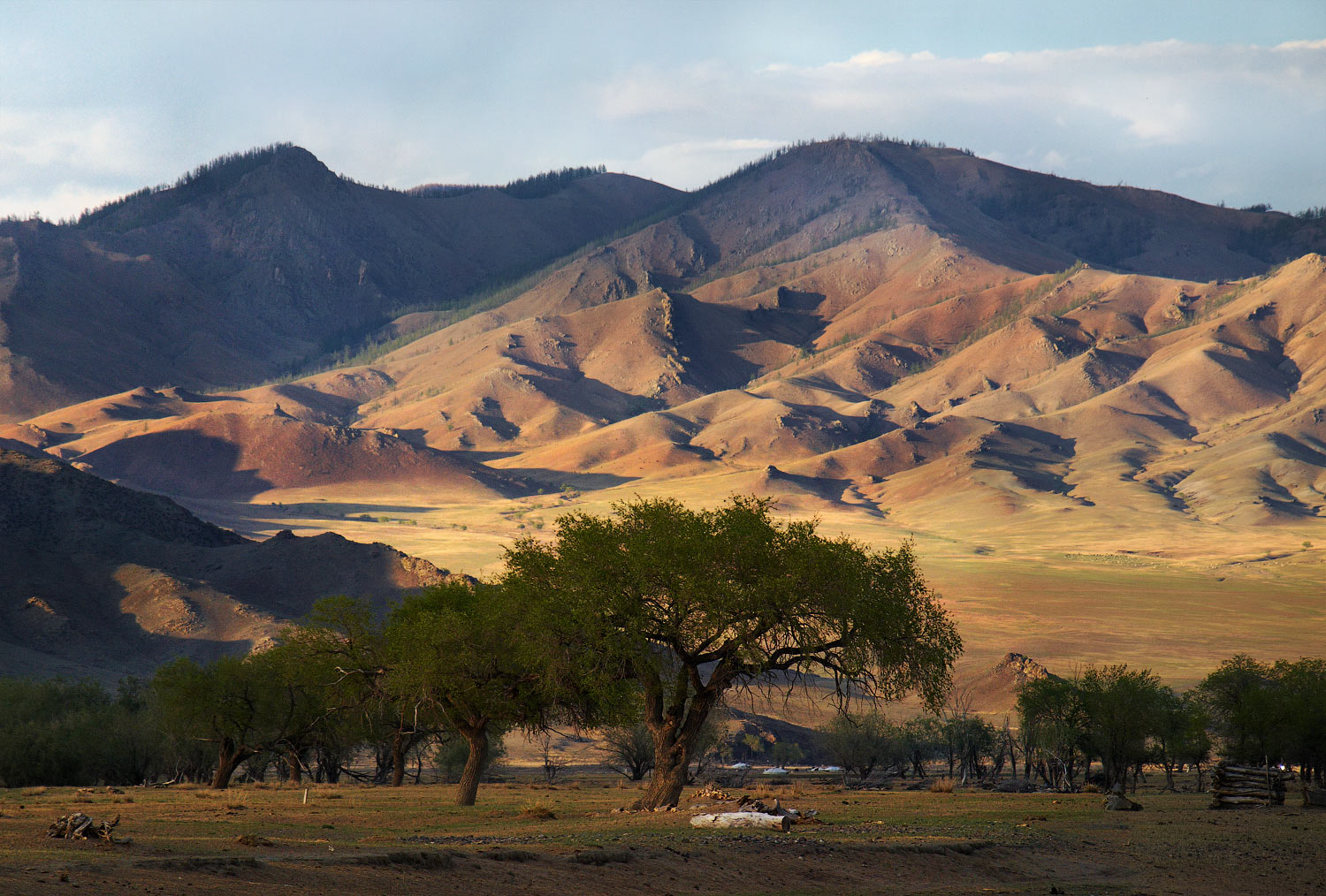 Монголия.Долина р.Селенга
