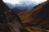 осень на границе с Монголией