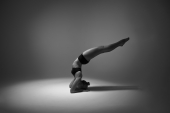 the Art of Yoga / путь тантры