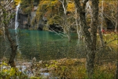 Маленькое зеленое озеро