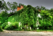 зеленый дом