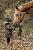 Конь и мальчик