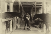 Любовь и лошади :)