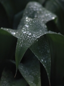 test2